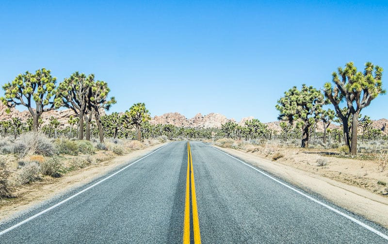 On the road in Joshua Tree National Park