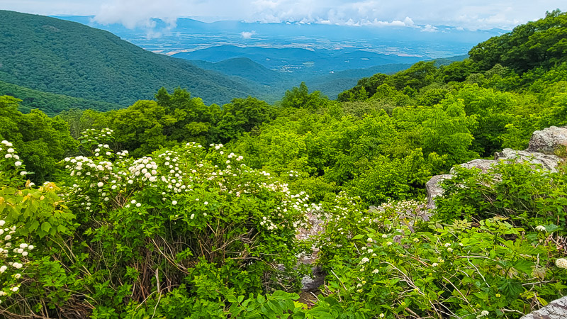 baldface overlook skyline drive virginia