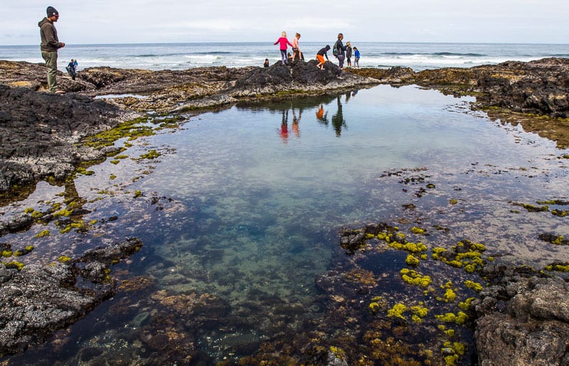 Tide Pooling near Yachats