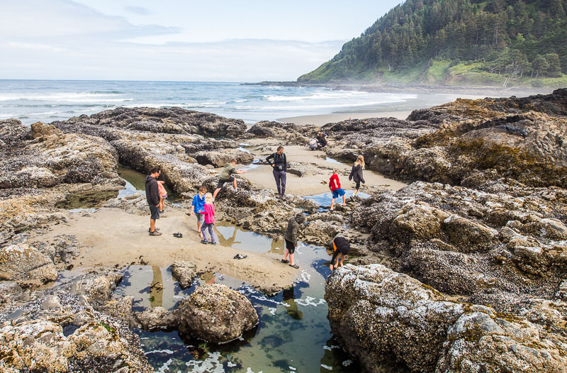 tidepooling yachats oregon