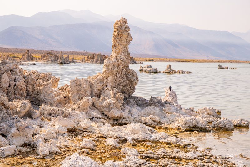 Mono Lake Tufa State Natural Reserve