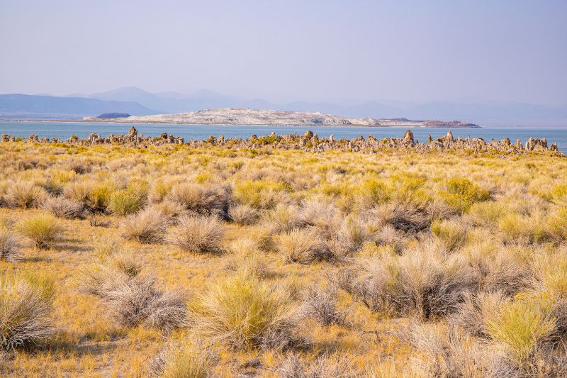 mono lake island