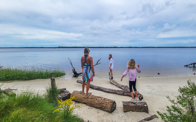 Carolina Beach State Park, North Carolina