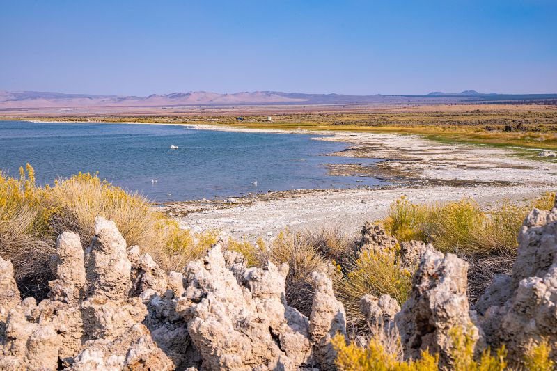 Navy Beach mono lake