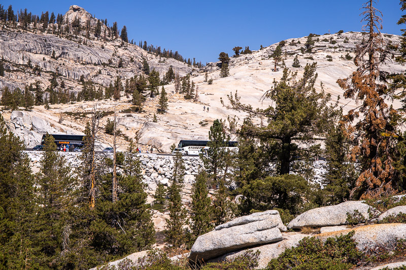 The scenic Tioga Pass Road