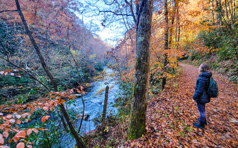 Deep Creek Trail, Great Smoky Mountains National Park, North Carolina