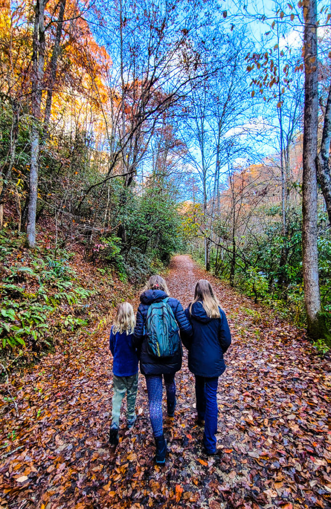 Deep Creek Trail, Great Smoky Mountains National Park, North Carolina