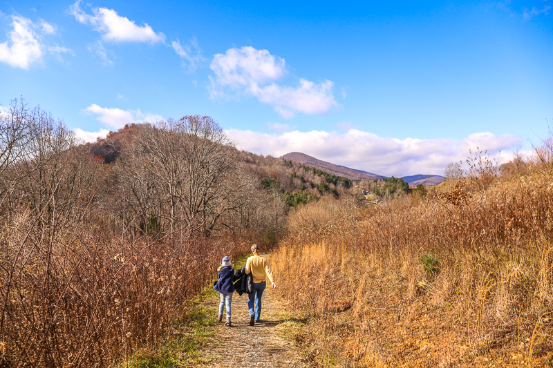 Brookshire Park Trail, Boone, NC