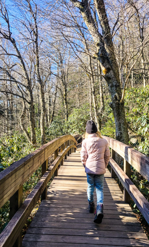 Rough Ridge Trail, Blue Ridge Parkway, North Carolina