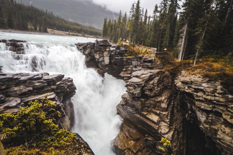 Athabasca Falls, Jasper National Park