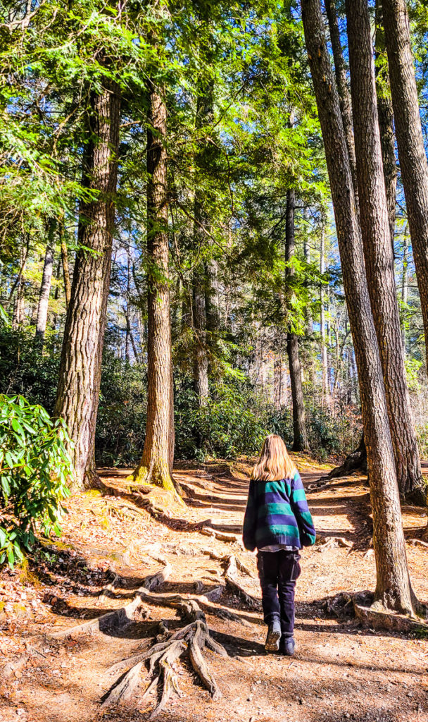 Linville Falls hiking trail North Carolina