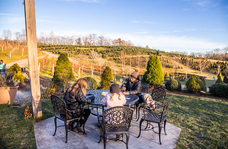 Wine Tasting at Linville Falls Winery