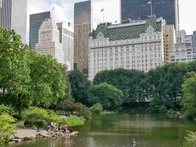 plaza hotel view from central park