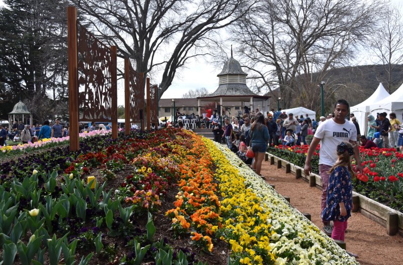 tulip festival bowral australia