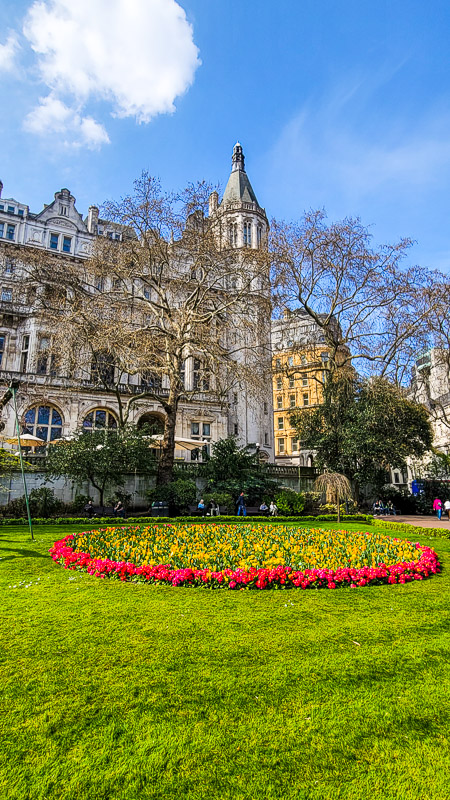 pretty flowers in Whitehall gardens london