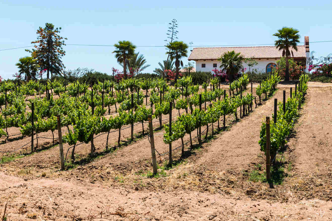 0 Best Hotel in Valle De Guadalupe