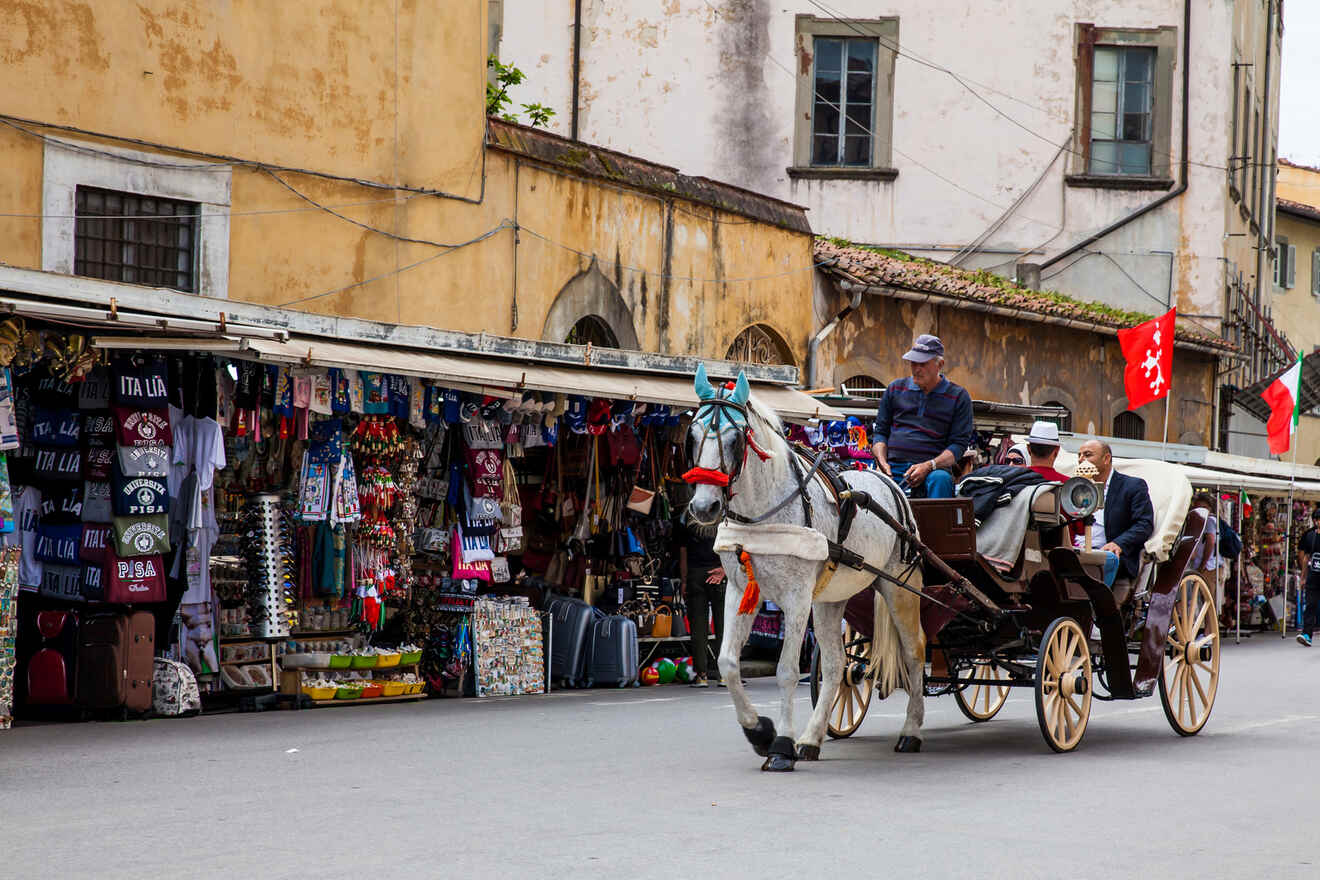 11 best day trip tours from Florence