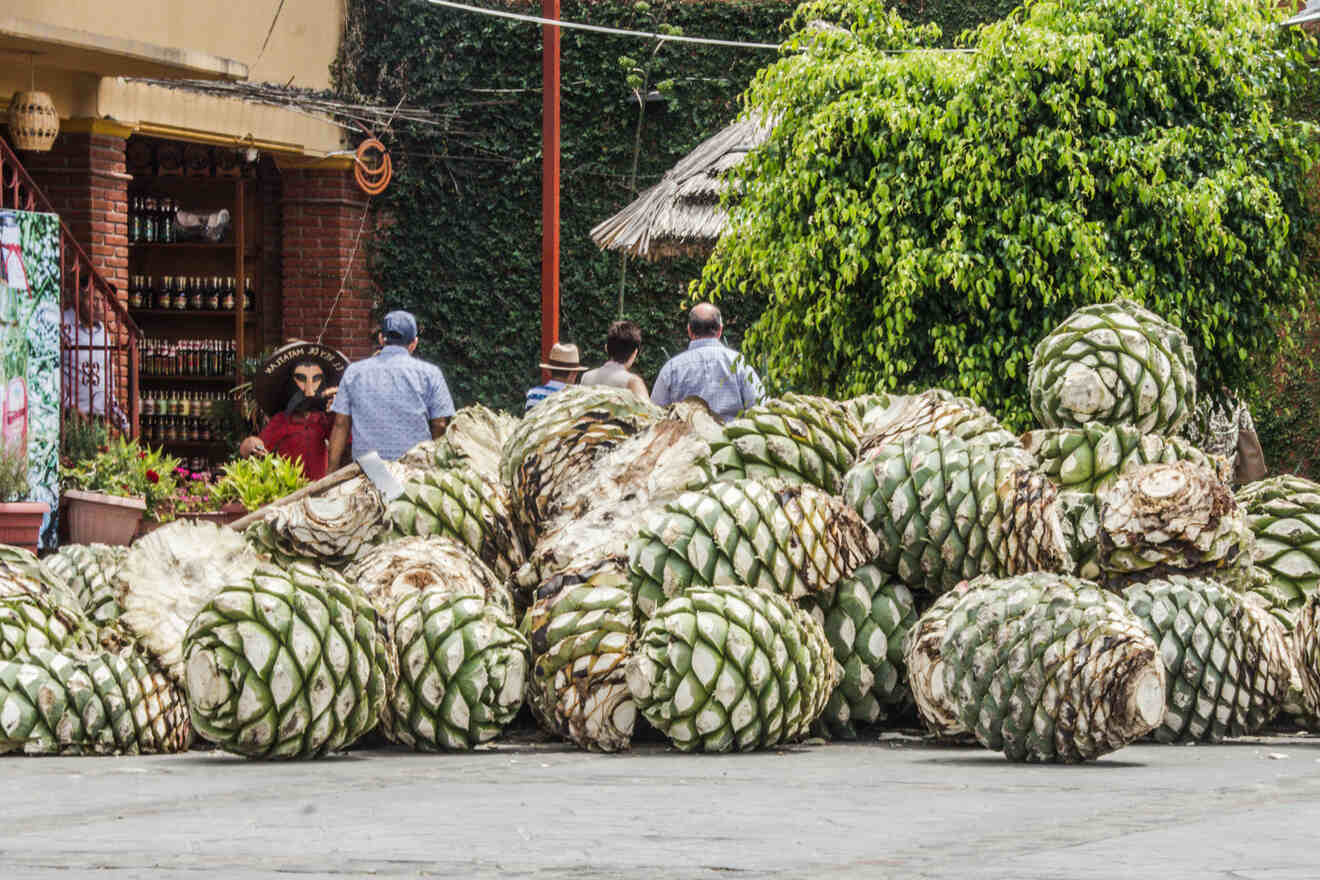 6 Do some Mezcal tasting