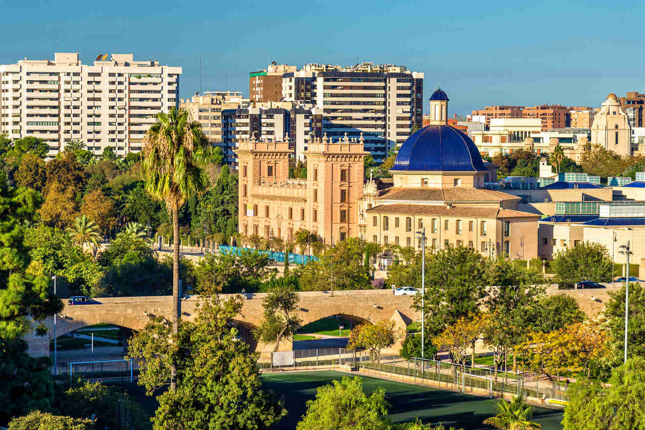 8 Museum of Fine Arts of Valencia