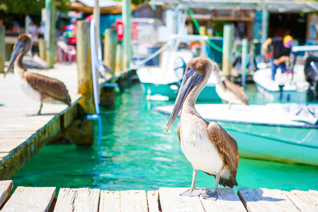 Best beaches in Islamorada