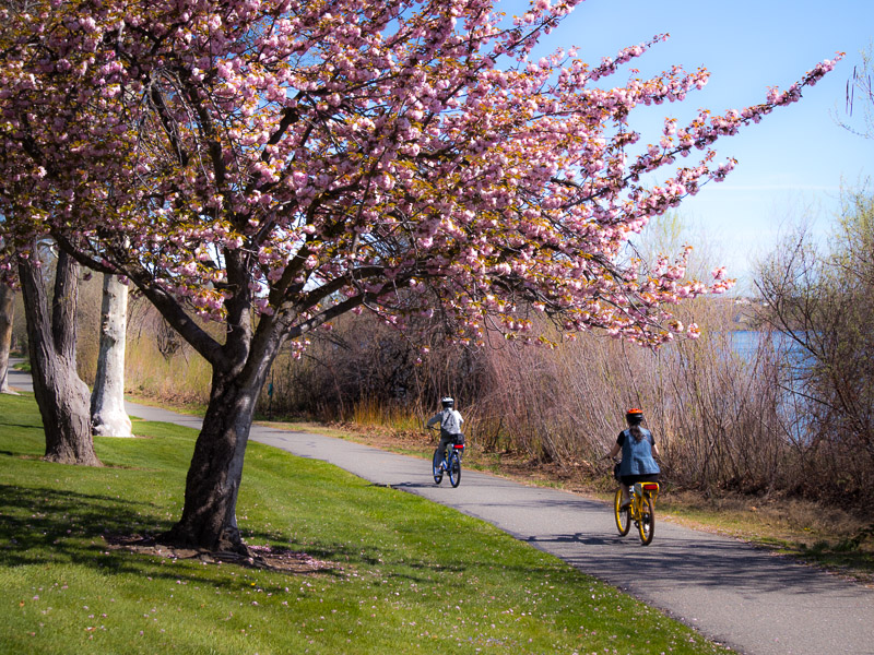 Columbia River Trail Richland Tri City wa