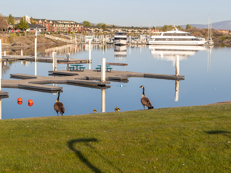 columbia river richland