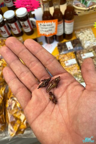 chapulines