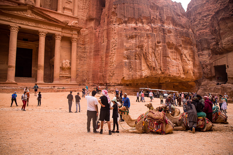 petra camels treasury