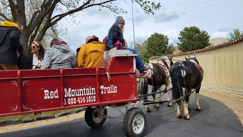 red mountain trails