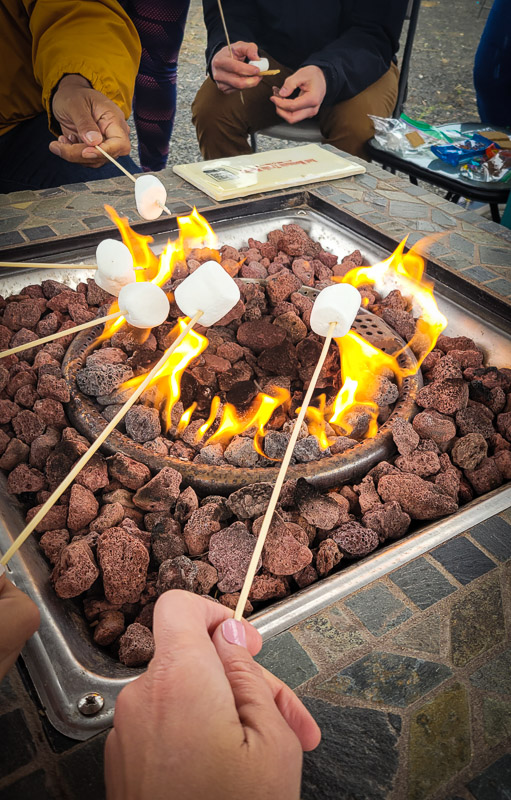 red mountain trails firepit smores