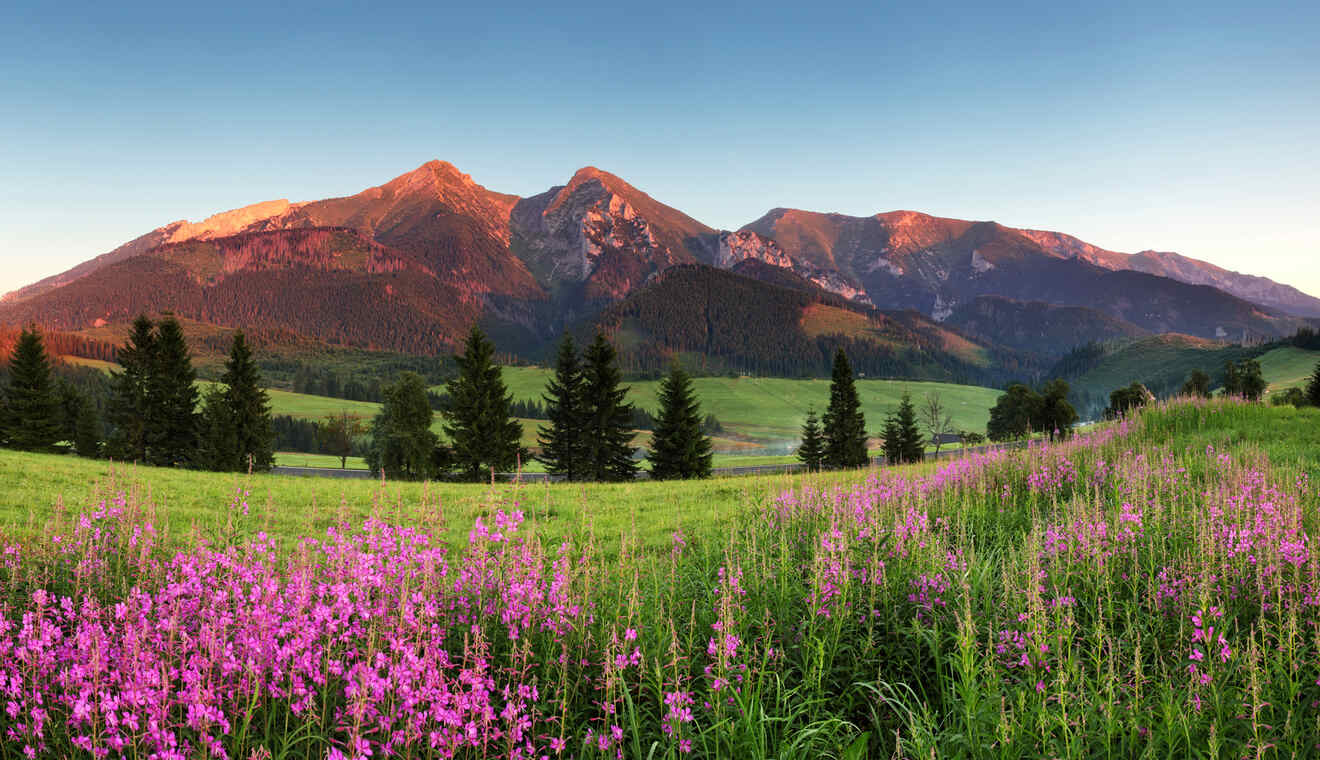 15 hiking in the Carpathian Mountains with childrens