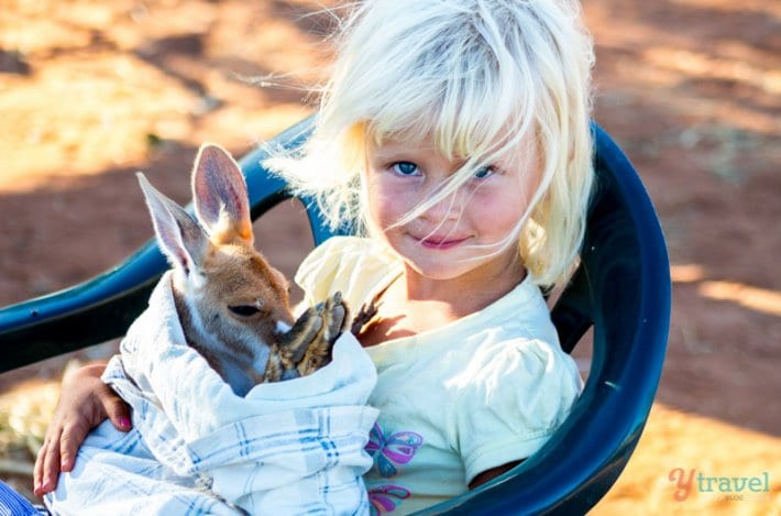 Kangaroo Sanctuary, Alice Springs