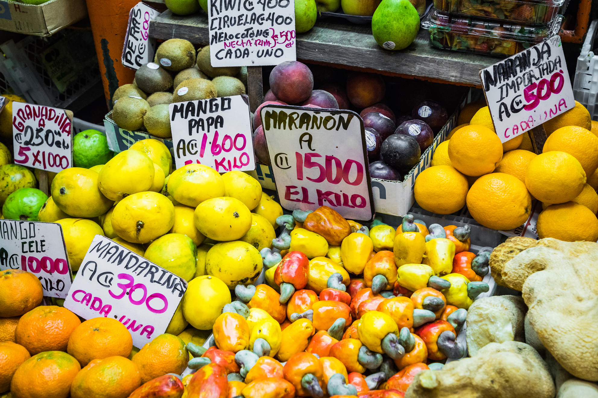 best food in Barrio Escalante San Jose Costa Rica