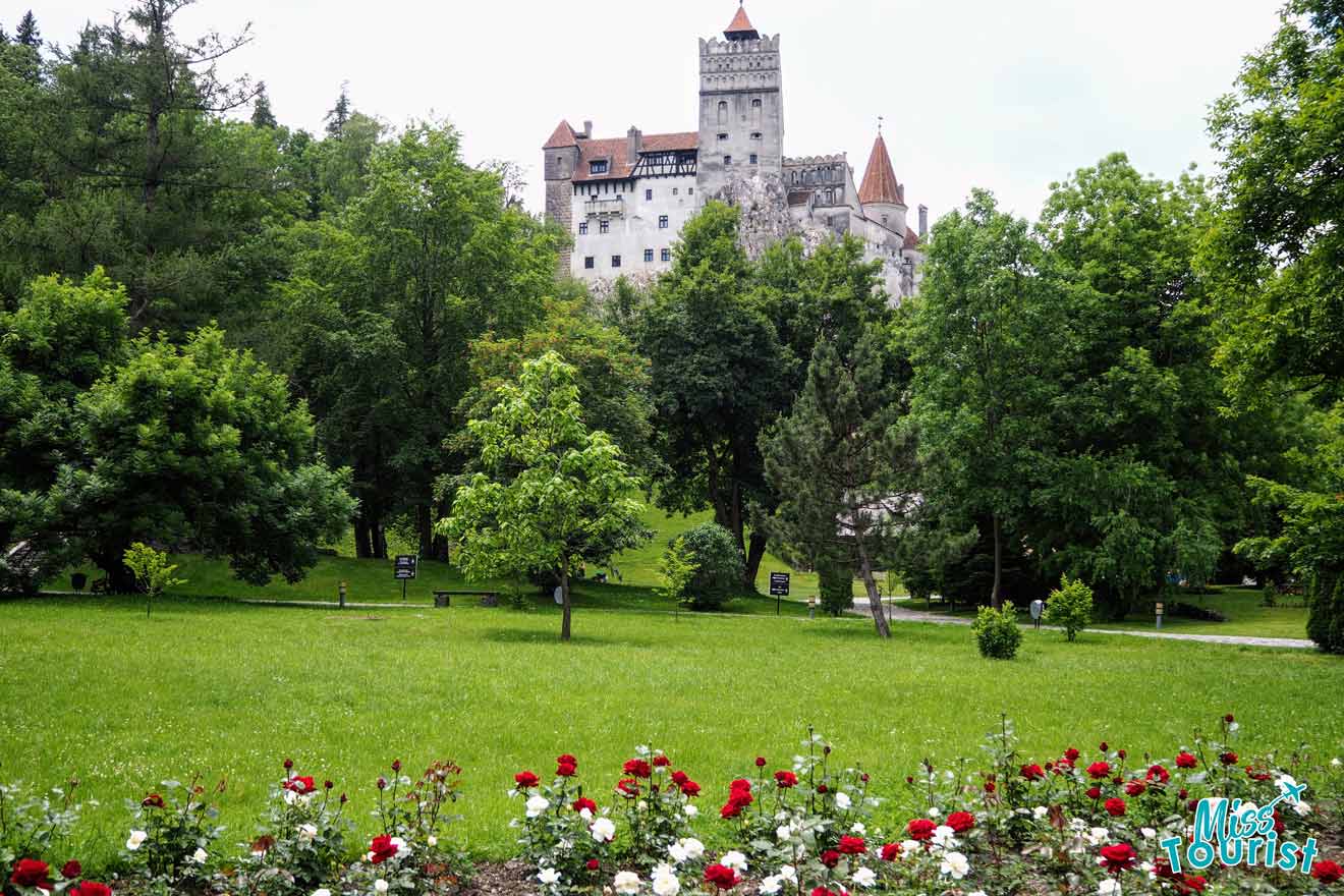 bran castle romania trip from brasov