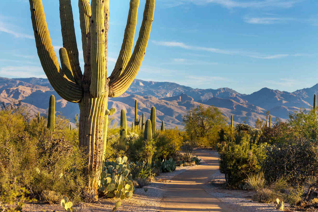 6 Where to stay in Tucson for hiking