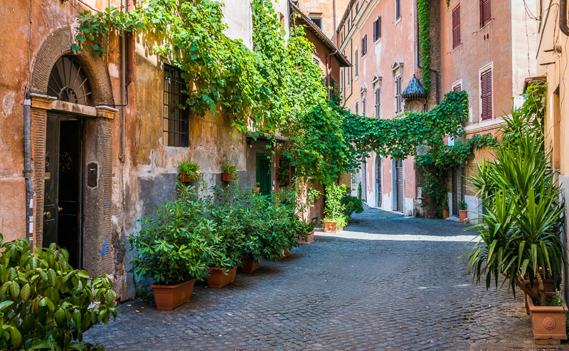 small street with terracotta colored homes covered in green plants