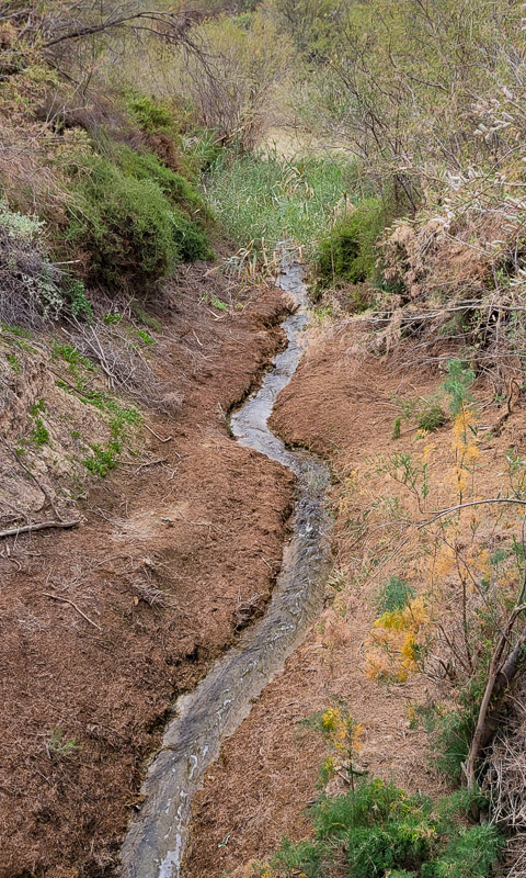 a small creek