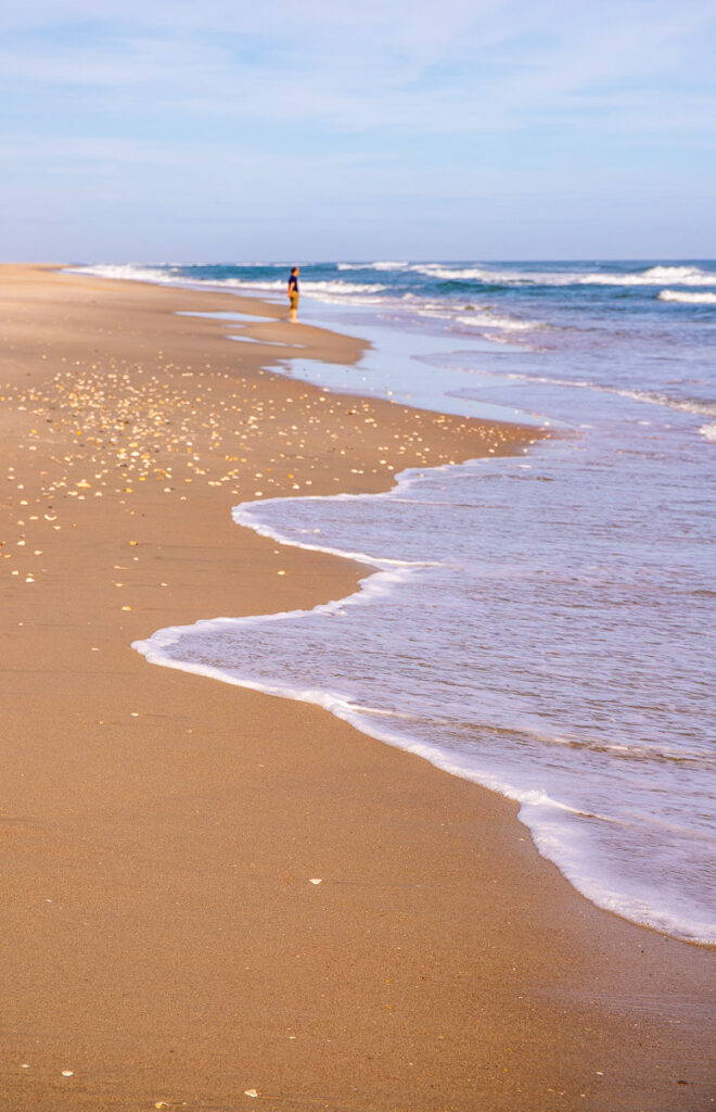 A sandy beach next to the ocean