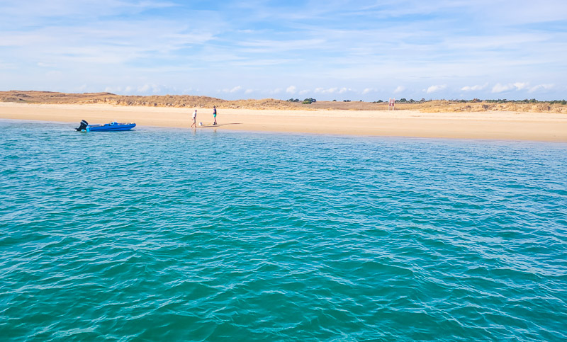 A group of people swimming in a body of water