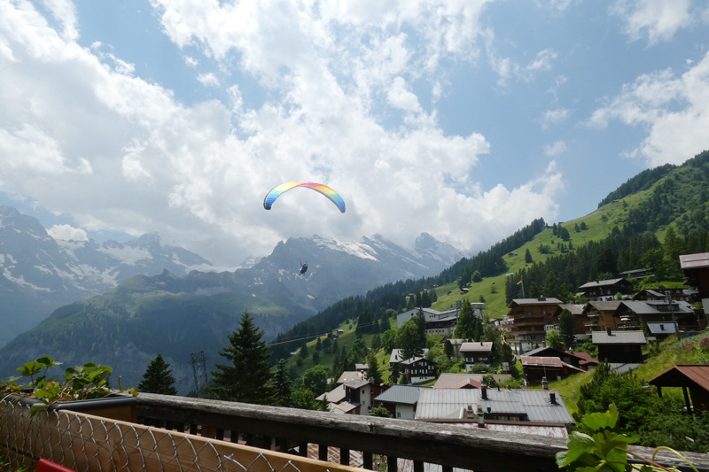 paraglider soaring between green hills and snow covered mountains