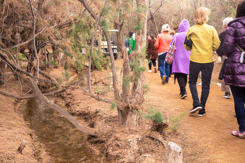 a group of people walking down a sandy trail with shady trees