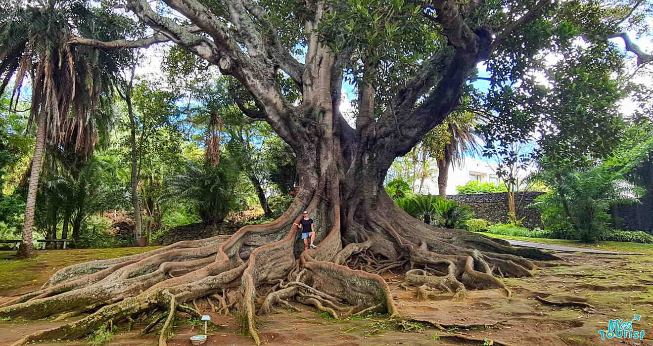 1.5 Jardim Botanico Antonio Borges