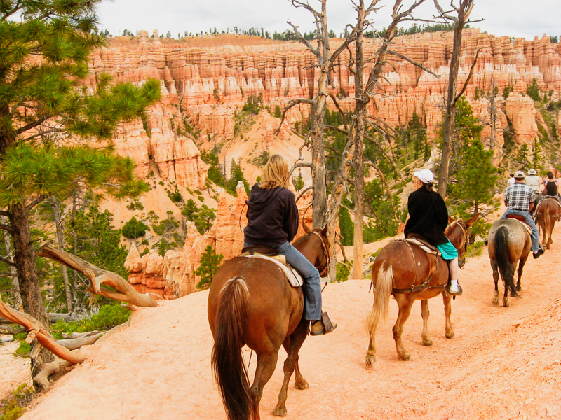 people riding on donkeys down a canyon