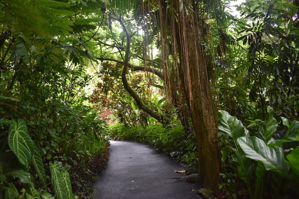 Hawaii Tropical Botanical Gardens