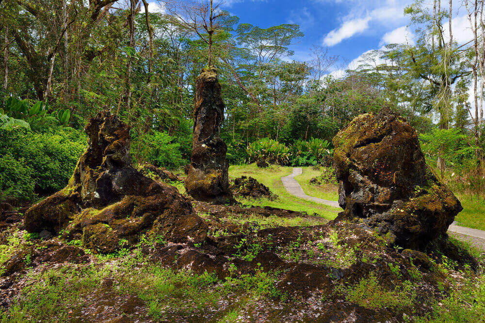 Lava Tree State Monument