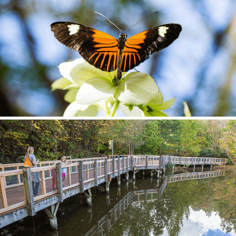 Museum of Life & Science in Durham, North Carolina