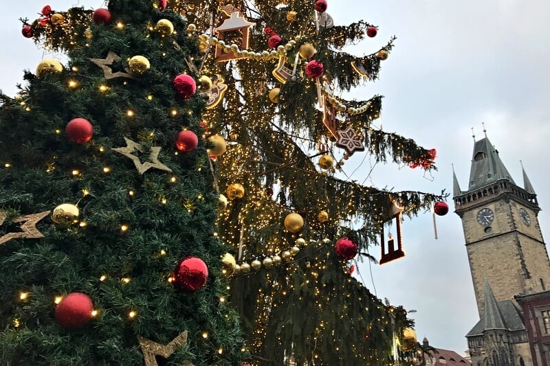 Christmas trees in Old Town Square, Prague