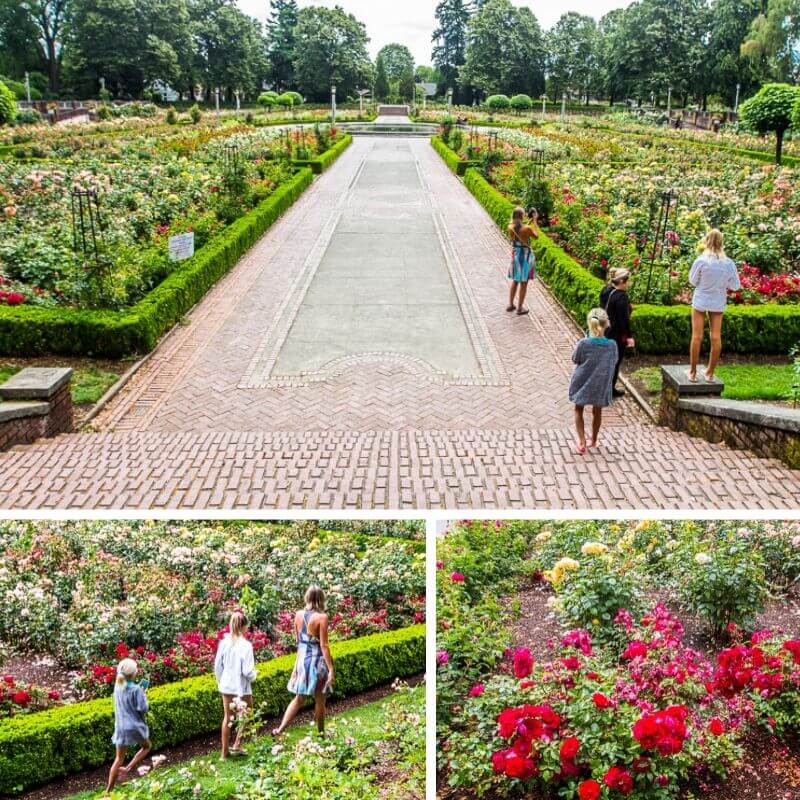 Friends of Peninsula Park Rose Garden