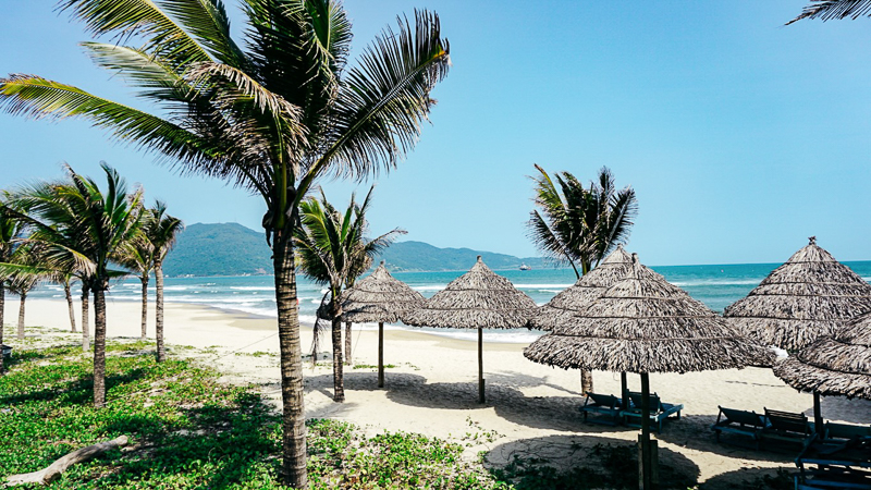 beach with umbrellas on it