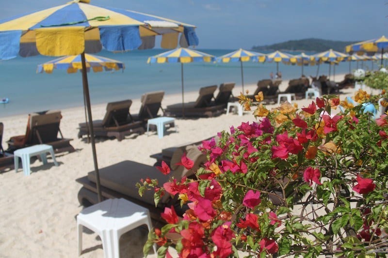 flowers next to a beach chair